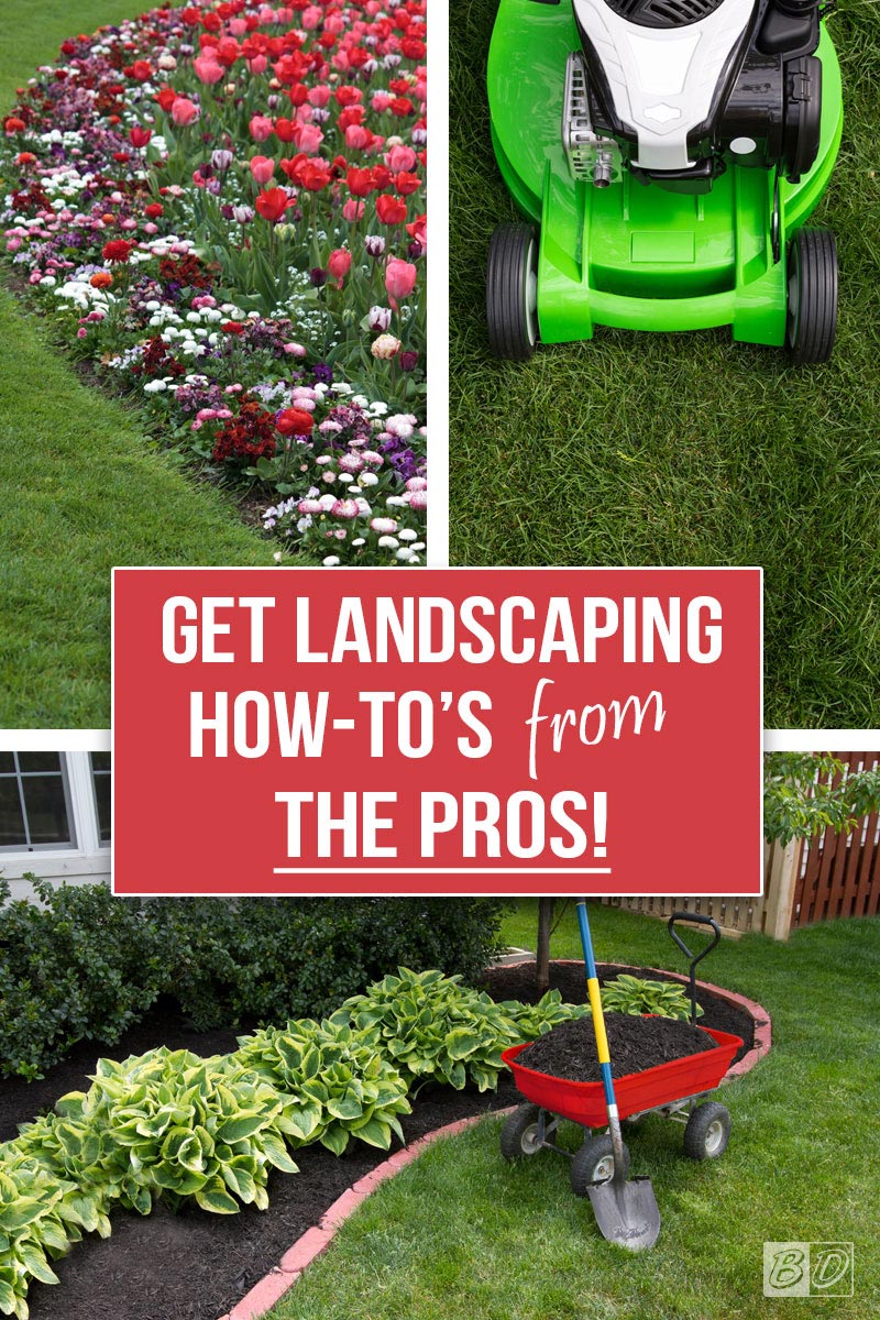 Learn all the BEST DIY landscaping tips from the pros! How-To tutorials and project inspiration all in one place; learn how to have an enviable backyard, how to design your landscape, enhance your curb appeal, and so much more. Save money AND have a beautiful yard! Click and read The Exceedingly Comprehensive Guide To DIY Home Improvement For First-Time Homeowners and get started today. Get all your DIY inspiration here!