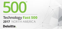 Deloitte Technology Fast 500 logo™ logo