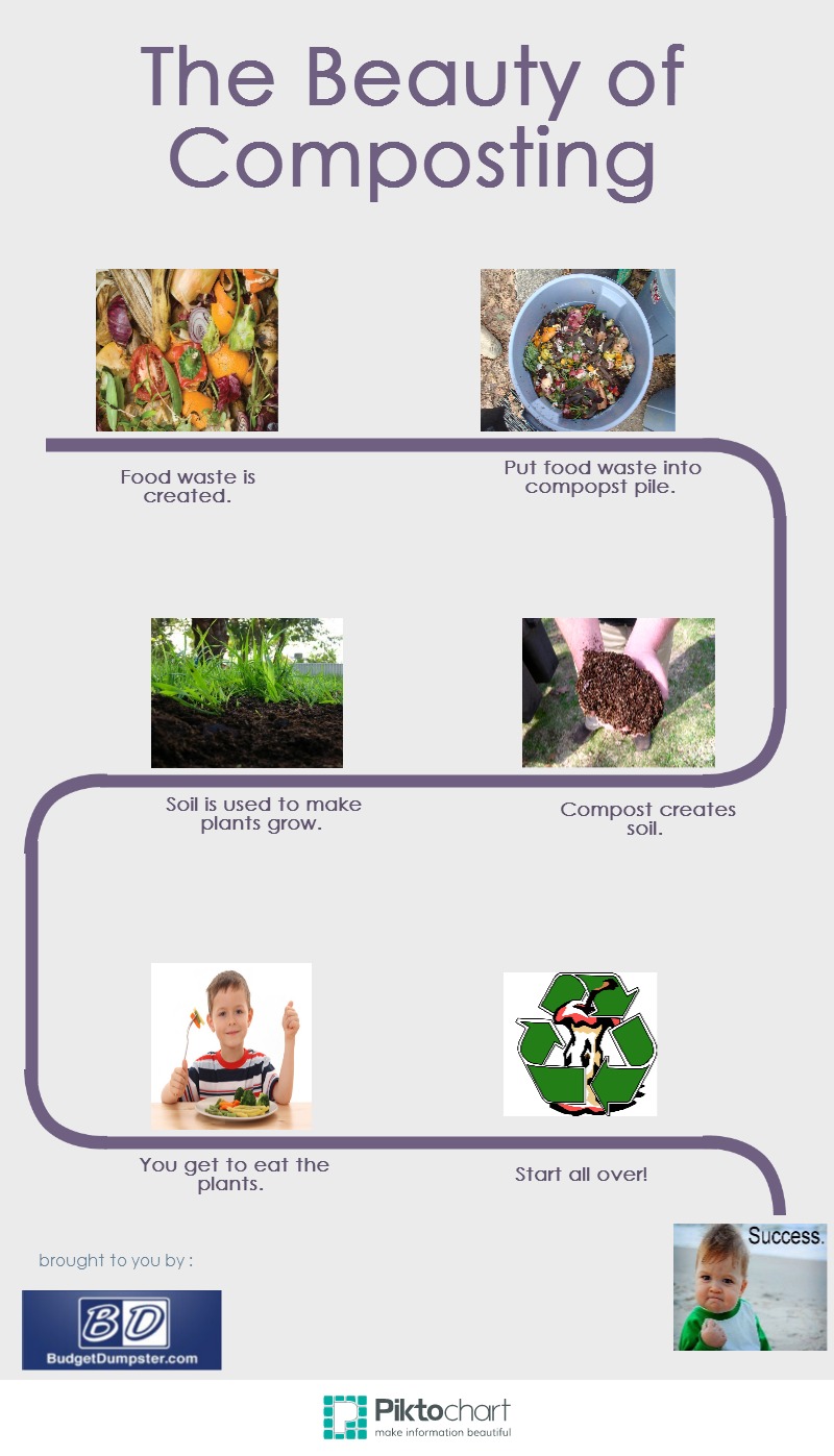 Composting Infographic