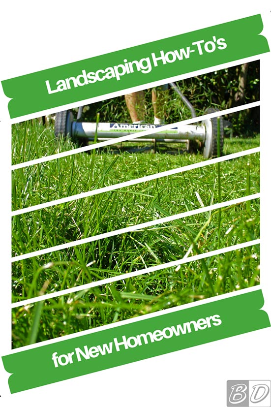 Follow our 5 step guide on How to Fertilize Your Lawn. We give you a list of the needed supplies, a step by step tutorial, and some additional tips from the pros! Click here and read The Exceedingly Comprehensive Guide to DIY Home Improvement for First-Time Homeowners and get started today!