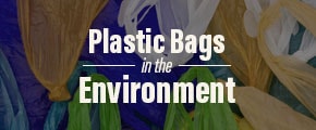 Plastic Bag Infographic