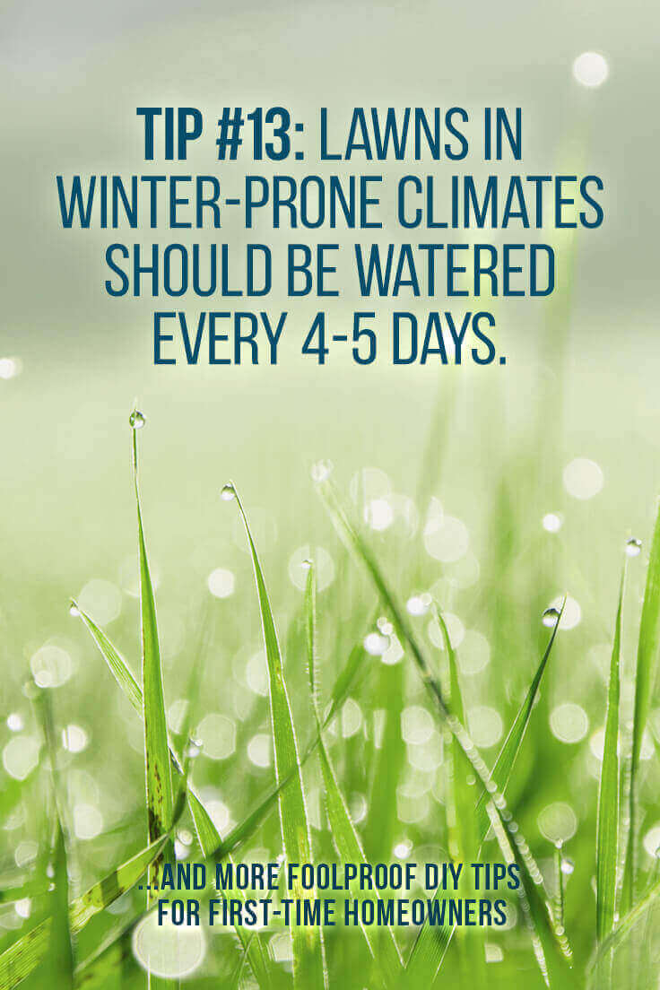 Learn all the BEST DIY landscaping tips from the pros! How-To tutorials and project inspiration all in one place; learn how to have an enviable backyard, how to design your landscape, enhance your curb appeal, and so much more. Save money AND have a beautiful yard! Click and read The Exceedingly Comprehensive Guide To DIY Home Improvement For First-Time Homeowners and get started today. Get all your DIY inspiration here!