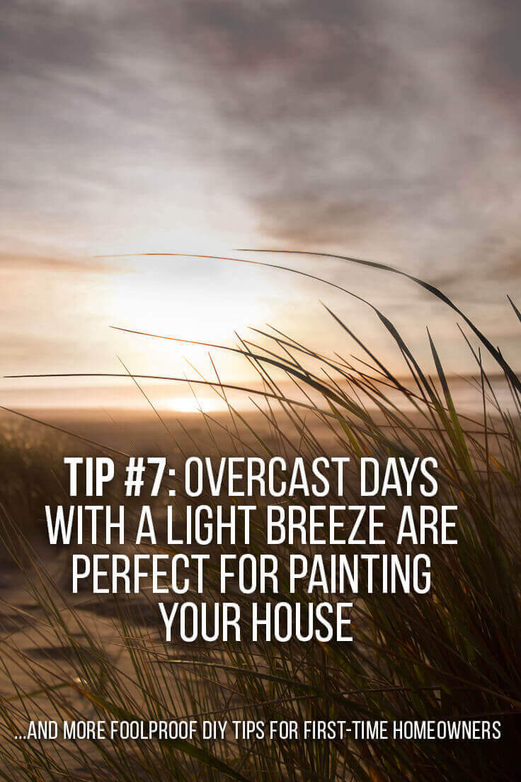 Learn all the BEST tips to learn to paint like a pro! How-To tutorials and project inspiration all in one place; learn how to remove wallpaper, how to choose the right paint, and what tools help ensure your success. Click here and read The Exceedingly Comprehensive Guide To DIY Home Improvement For First-Time Homeowners. Get inspired to paint and upgrade your space today!